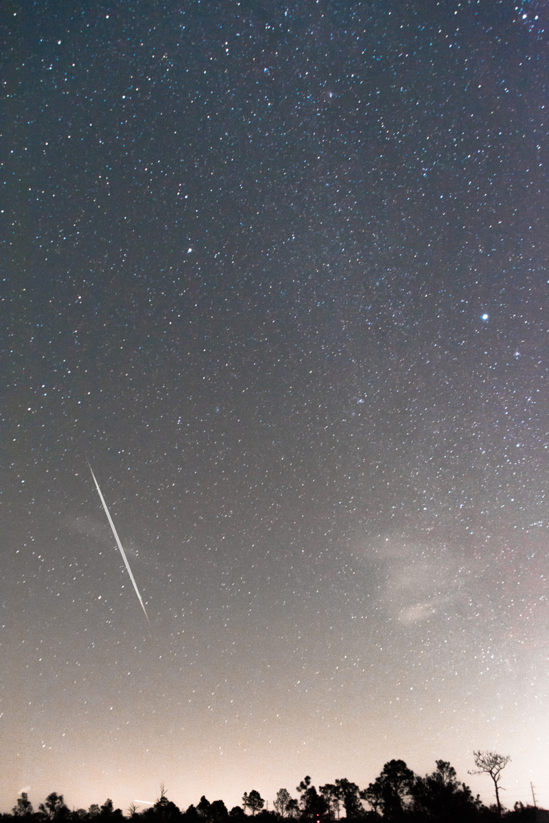 Illustration for article titled Geminids!